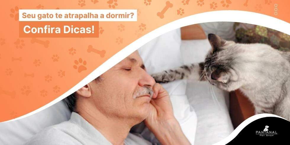 Leia mais sobre o artigo Gatos – Seu Gato Te Atrapalha a Dormir? Confira Dicas!