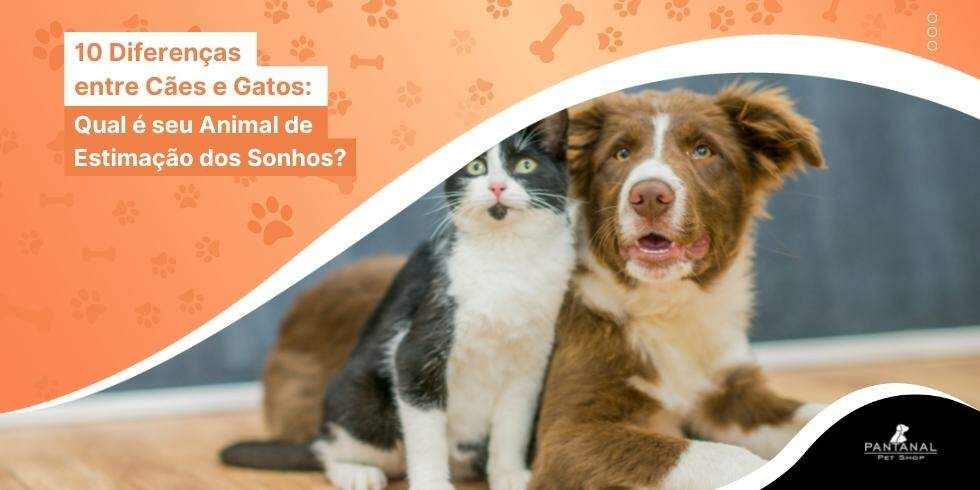 Leia mais sobre o artigo 10 Diferenças entre Cães e Gatos: Qual é seu Animal de Estimação dos Sonhos?