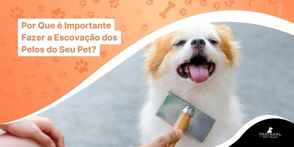 Leia mais sobre o artigo Por Que é Importante Fazer a Escovação dos Pelos do Seu Pet?