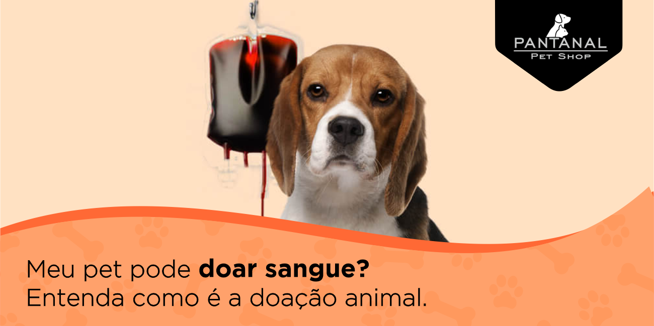 Onde Fazer Pet Shop Perto de Mim Banho e Tosa Pioneiros