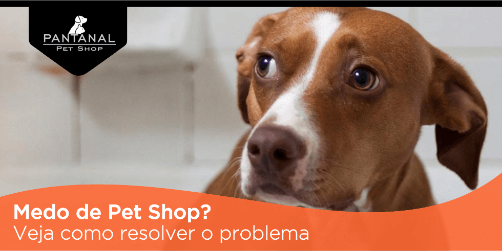 Leia mais sobre o artigo Medo de Pet Shop? Veja Como Resolver o Problema