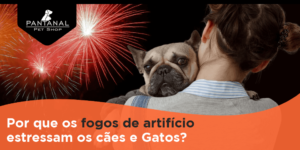 Leia mais sobre o artigo Por que os Fogos de Artifício Estressam os Cães e Gatos?