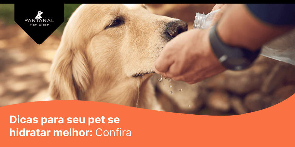 Leia mais sobre o artigo Dicas Para Seu Pet Se Hidratar Melhor: Confira
