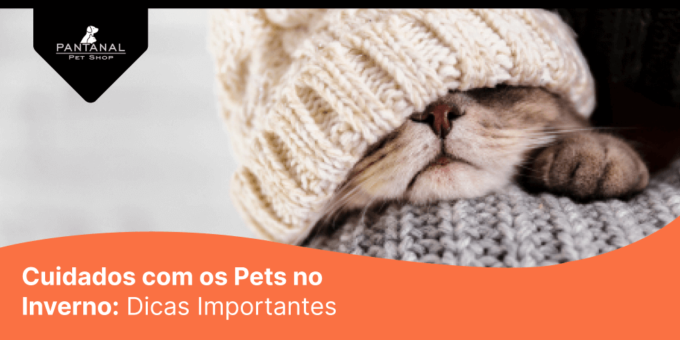 Você está visualizando atualmente Cuidados com os Pets no Inverno: Dicas Importantes