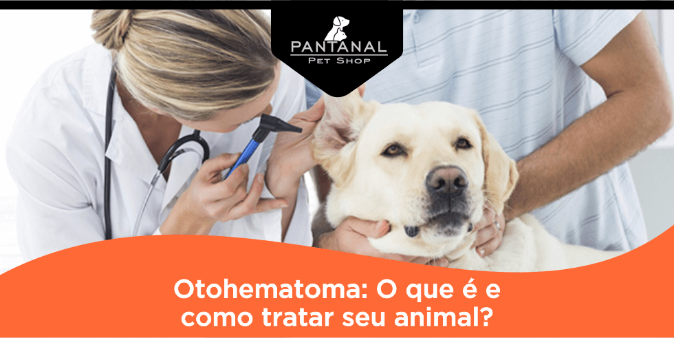 Você está visualizando atualmente Otohematoma: O que é e Como Tratar seu Animal?