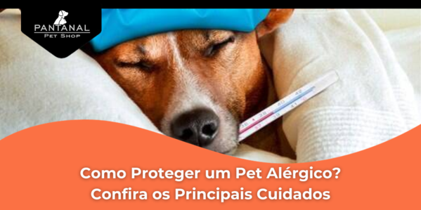 Leia mais sobre o artigo Como Proteger um Pet Alérgico? Confira os Principais Cuidados