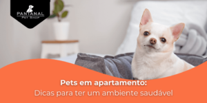 Leia mais sobre o artigo Pet em Apartamento l Dicas para ter um ambiente mais Pet Friendly