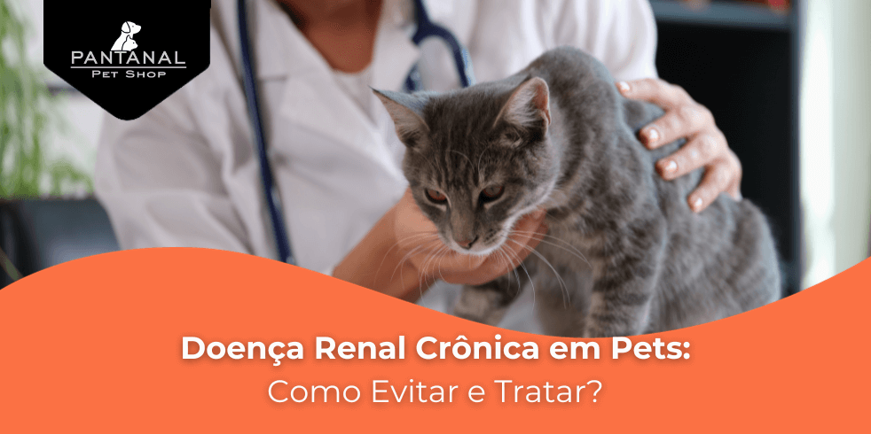 Leia mais sobre o artigo Como Evitar a Doença Renal Crônica nos Pets?