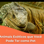 Animais Exóticos que Você Pode Ter como Pet e Como Cuidar Deles