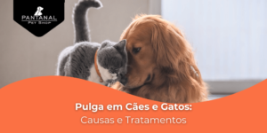 Leia mais sobre o artigo Pulgas em Cães e Gatos: Causas, Sintomas e Tratamentos