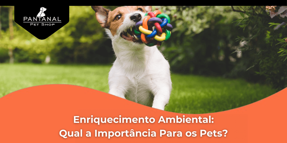 Enriquecimento Ambiental: Qual a Importância Para os Pets?