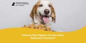 Leia mais sobre o artigo Petiscos Para Higiene Oral dos Cães: Realmente Funciona?