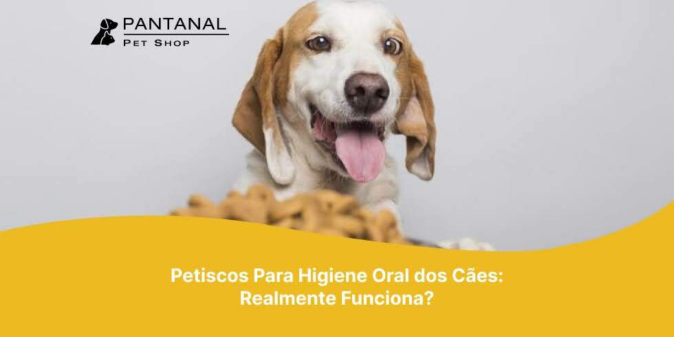 Petiscos Para Higiene Oral dos Cães: Realmente Funciona?