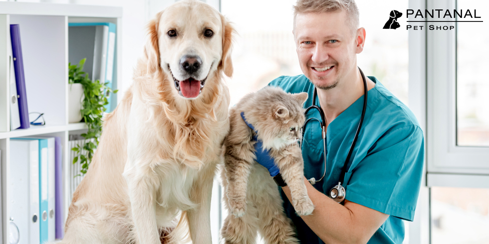 Vacinação de Cães e Gatos: Tudo o que Você Precisa Saber 
