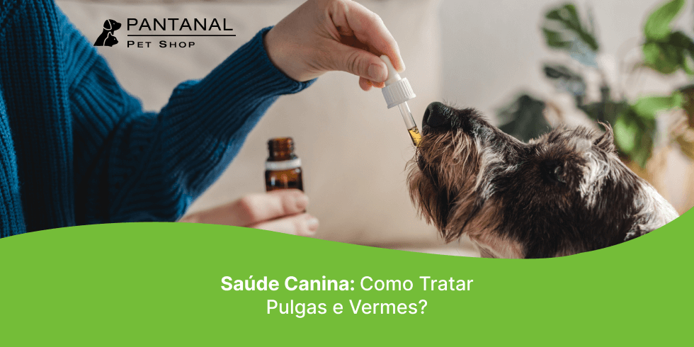 Saúde Canina: Como Tratar Pulgas e Vermes?