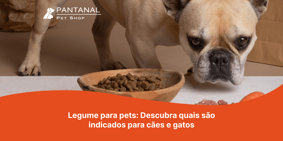 Leia mais sobre o artigo Legumes Para Pets: Descubra Quais são Indicados para Cães e Gatos