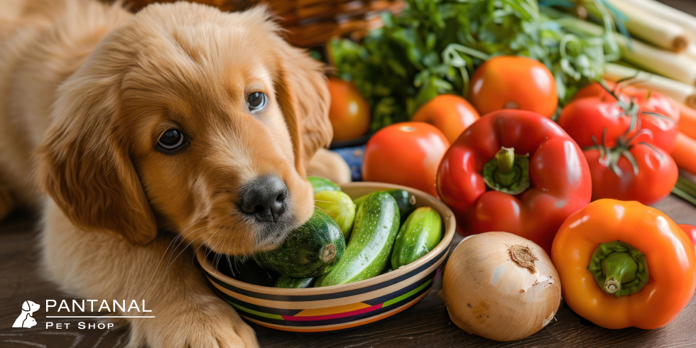 Legumes Para Pets: Descubra Quais são Indicados para Cães e Gatos