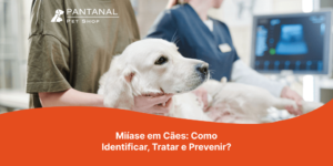 Leia mais sobre o artigo Miíase em Cães: Como Identificar, Tratar e Prevenir?