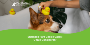 Leia mais sobre o artigo Shampoo Para Cães e Gatos: O Que Considerar?