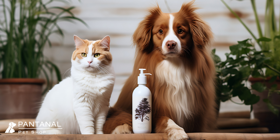 Shampoo Para Cães e Gatos: O Que Considerar?
