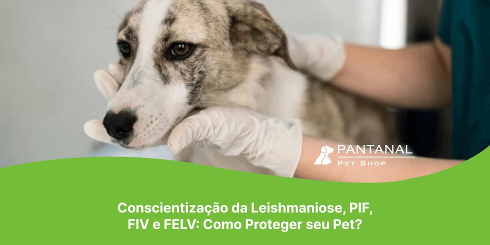 Conscientização da Leishmaniose, PIF, FIV e FELV: Como Proteger seu Pet?