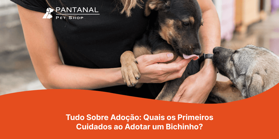 Tudo Sobre Adoção: Quais os Primeiros Cuidados ao Adotar um Bichinho?