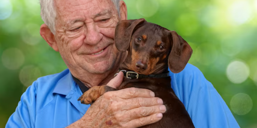 Novembro Azul Pet: Como Prevenir o Câncer de Próstata no Seu Animal
